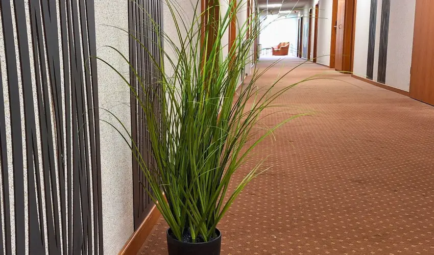 Hungarospa Thermal Hotel Hajdszoboszl - Karcsony