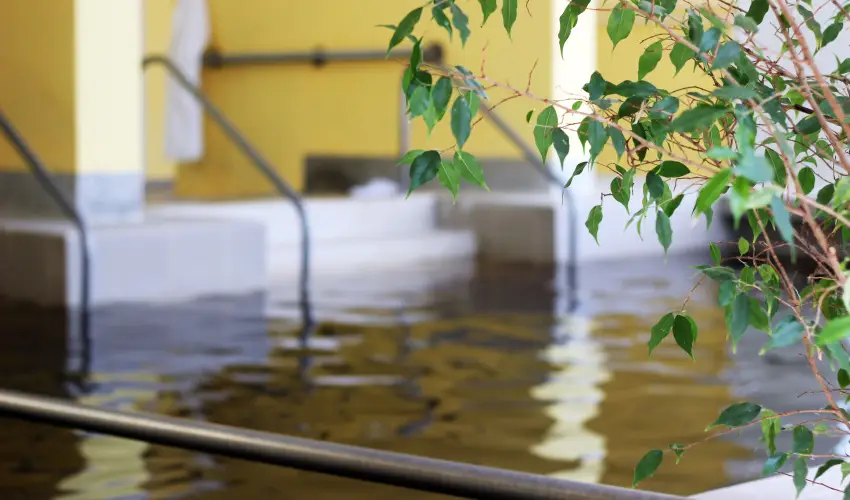 Hotel Hforrs Hajdszoboszl - Meghitt karcsonyi nnepek (min. 2 j)