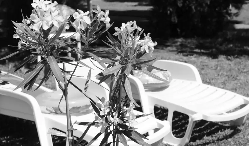 Hotel H�forr�s Hajd�szoboszl� - Meghitt kar�csonyi �nnepek (min. 2 �j)