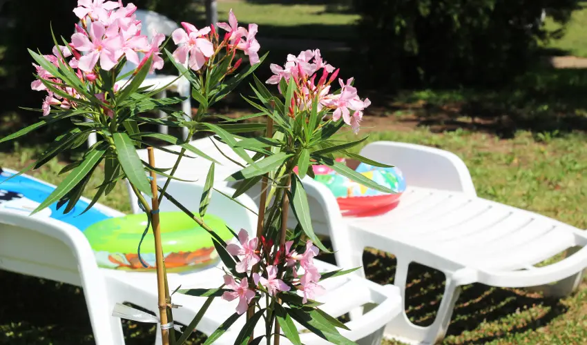 Hotel Hforrs Hajdszoboszl - Meghitt karcsonyi nnepek (min. 2 j)