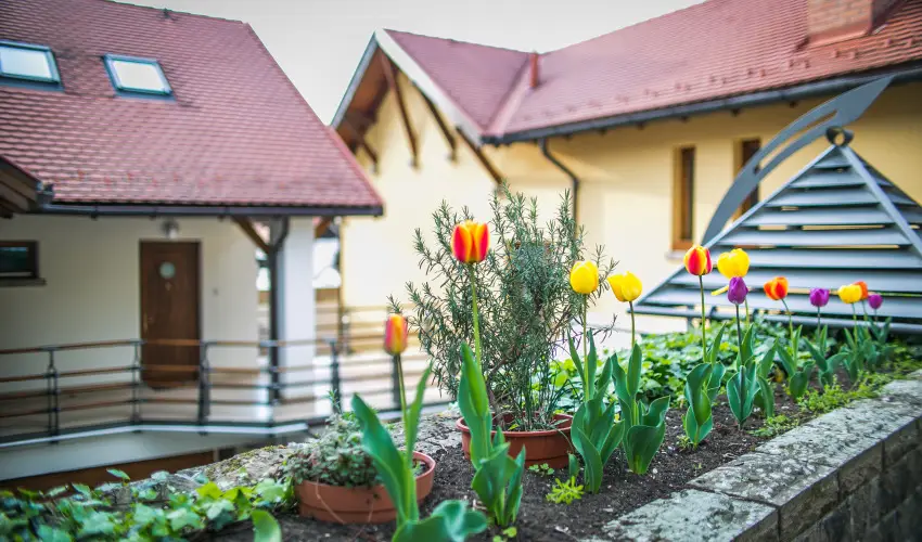 Imola Udvarhz Eger - Karcsony (min. 2 j)