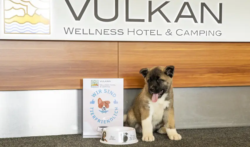 Vulk�n Wellness Hotel �s Kemping Celld�m�lk - Csillagsz�r�s Kar�csony