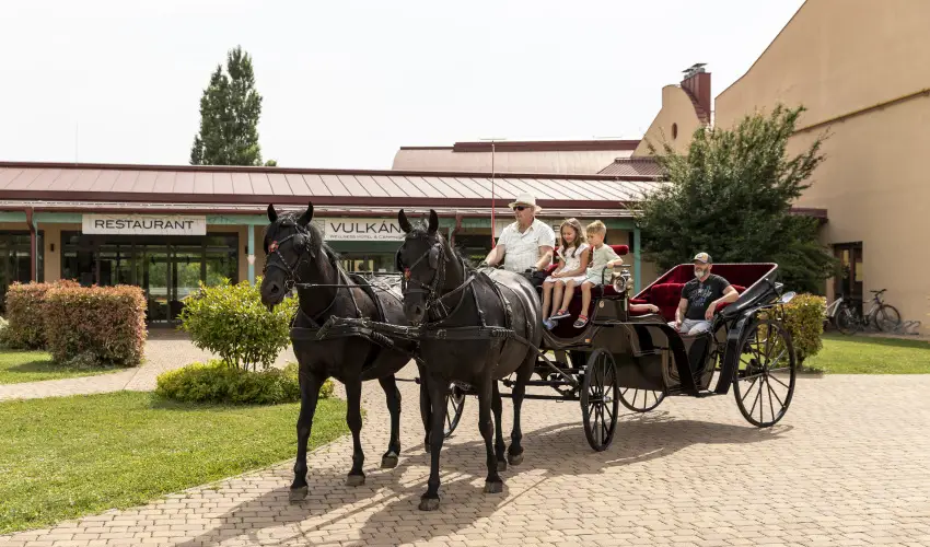 Vulk�n Wellness Hotel �s Kemping Celld�m�lk - Csillagsz�r�s Kar�csony