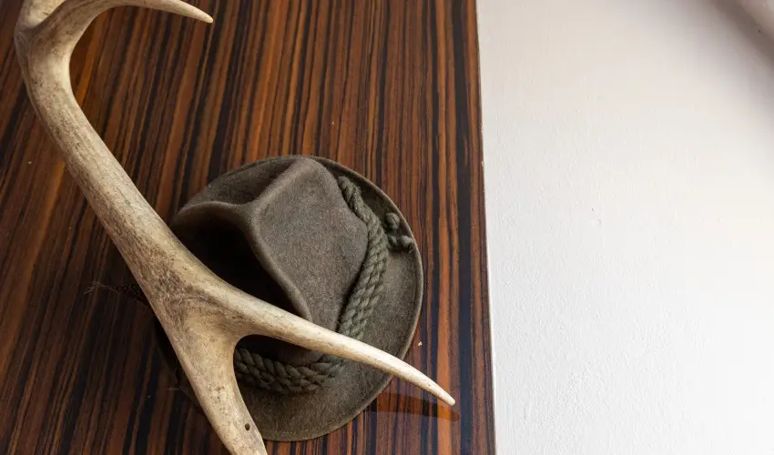 Kastello Vendghz Nagykozr - Karcsony