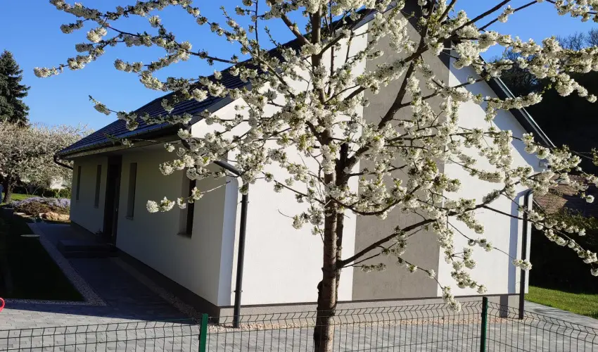 Kat�ng Vend�gh�z Tardos - Kar�csony (min. 2 �j)