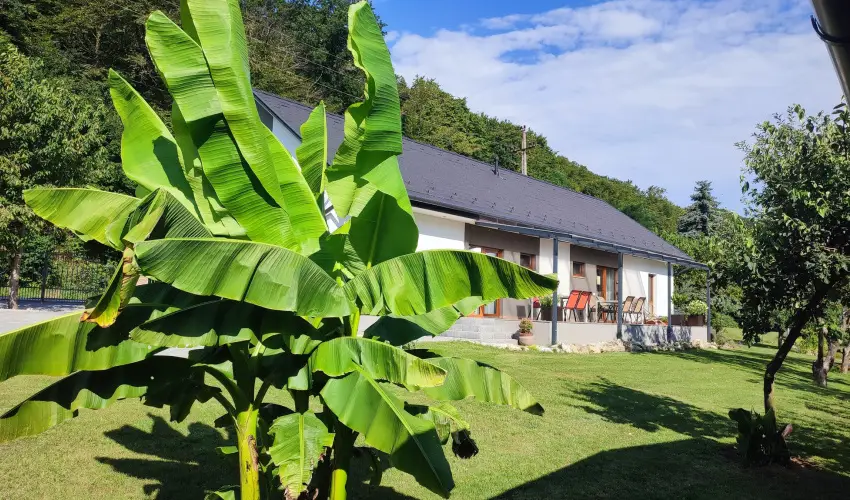 Kat�ng Vend�gh�z Tardos - Kar�csony (min. 2 �j)