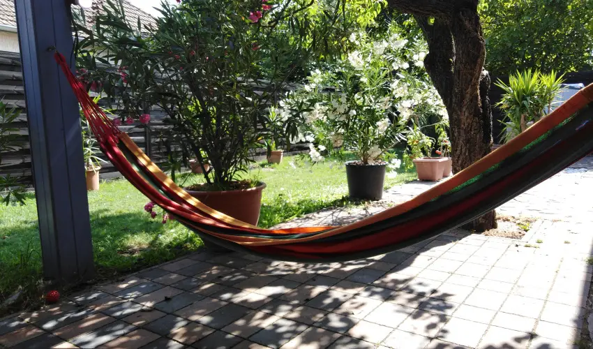 Kkmadr Vendghz Homokmgy - Karcsony