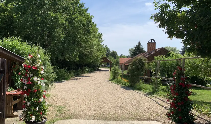 Kerca Bio Farm Kercaszomor - Karcsony (min. 2 j)