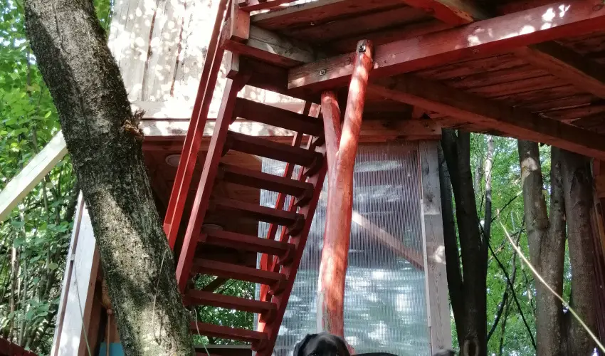 Kerca Bio Farm Kercaszomor - Karcsony (min. 2 j)