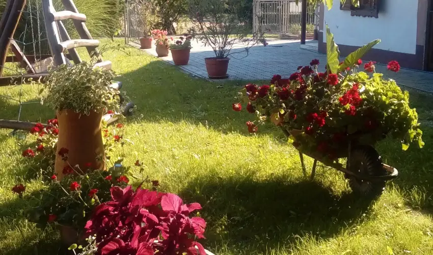 Kerka Vendghz Csesztreg - Karcsony (min. 2 j)