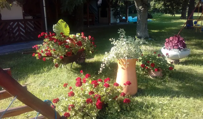 Kerka Vendghz Csesztreg - Karcsony (min. 2 j)