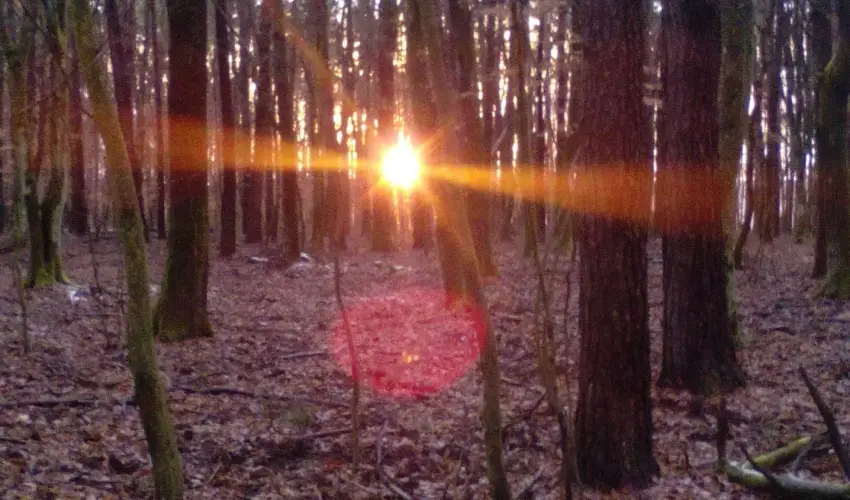 Kerka Vendghz Csesztreg - Karcsony (min. 2 j)