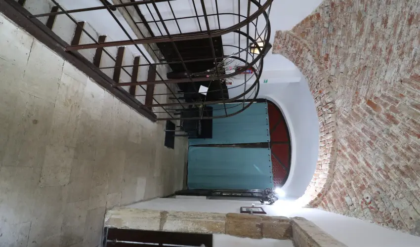 K�bor Macska Fogad� K�szeg - Kar�csony