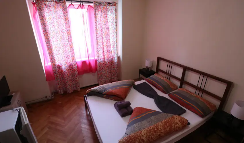 K�bor Macska Fogad� K�szeg - Kar�csony