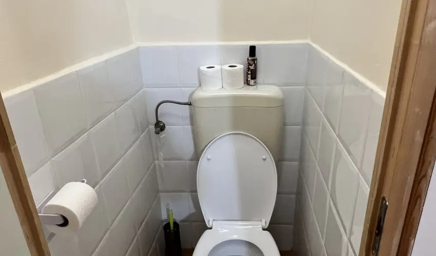 K�bor Macska Fogad� K�szeg - Kar�csony