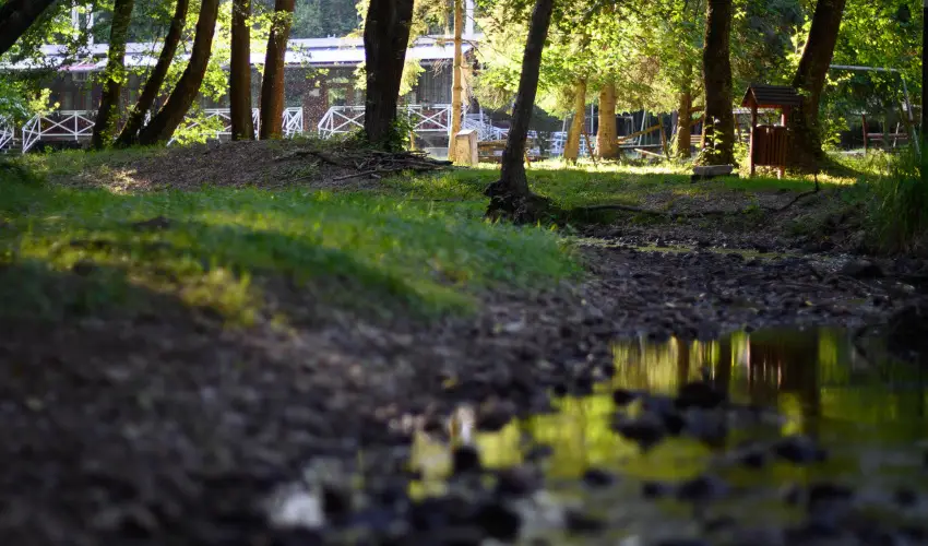 Kőkapu Vadászkastély és Hotel & Apartments Nagyhuta - Karácsony (min. 2 éj)
