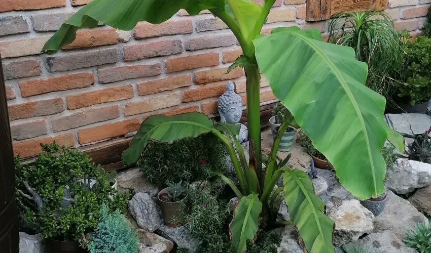 K�kert Pihen�h�z K�szeg - Kar�csony (min. 2 �j)