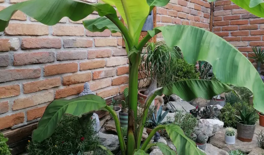 K�kert Pihen�h�z K�szeg - Kar�csony (min. 2 �j)