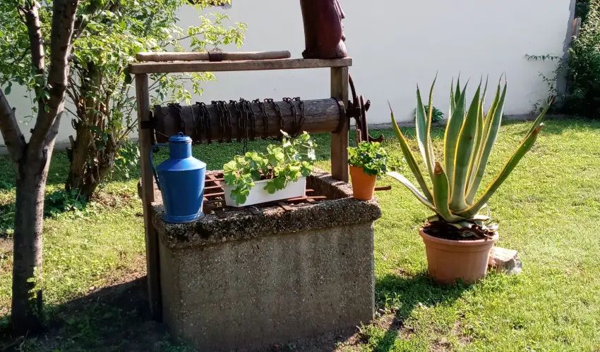 Krs Vendghz Szarvas - Karcsony (min. 3 j)