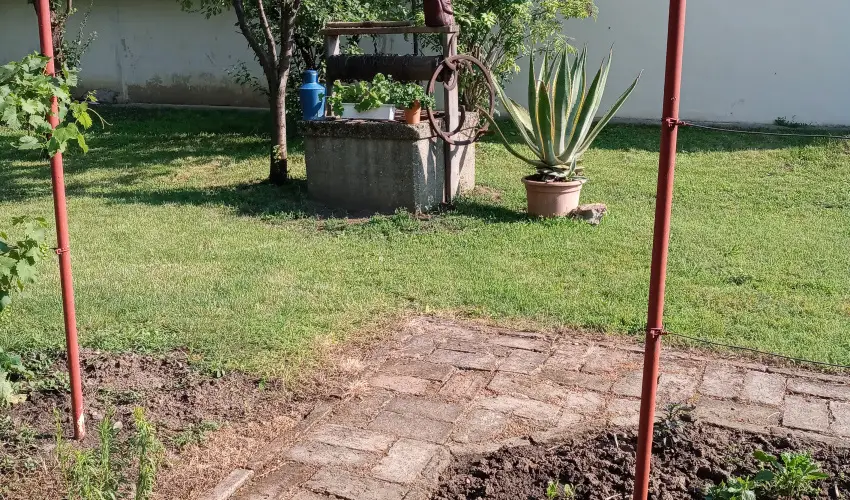 Krs Vendghz Szarvas - Karcsony (min. 3 j)