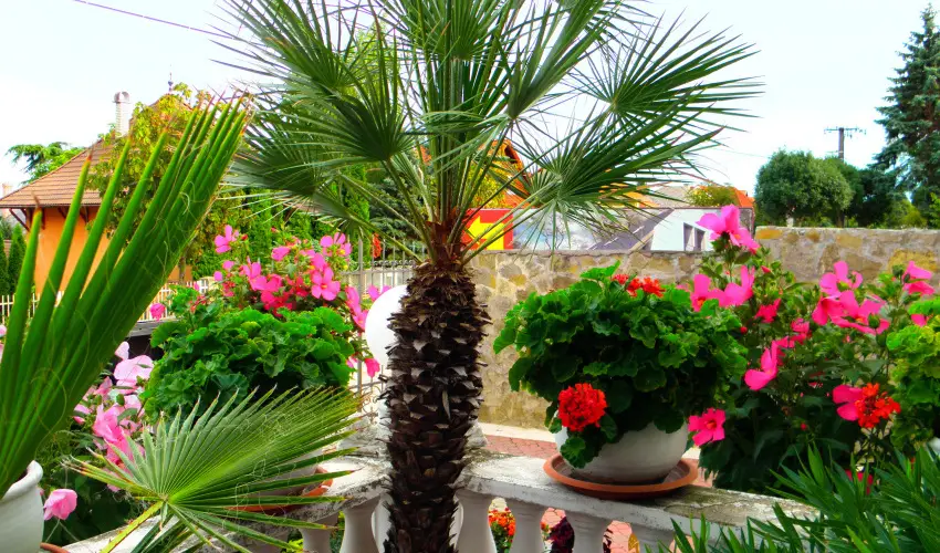 Kristly Apartman Hvz - Karcsony (min. 2 j)