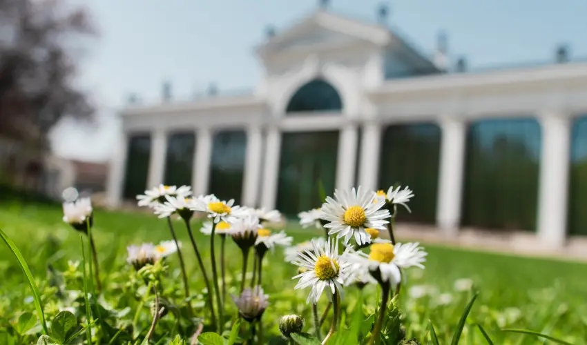 Kristly Imperial Hotel Tata - Karcsony (min. 2 j)