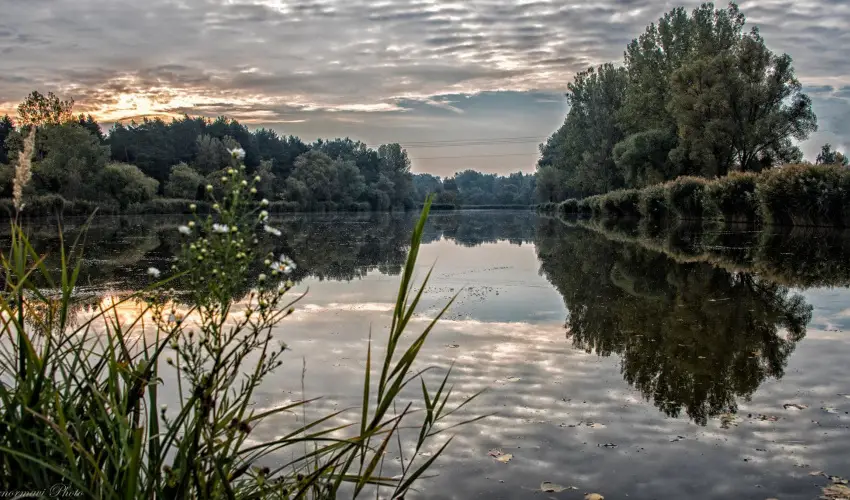 Libra Hotel Veresegyház - Karácsony