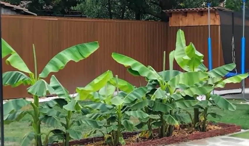 Lilla Apartmanhzak Szilvsvrad - Karcsony (min. 3 j)