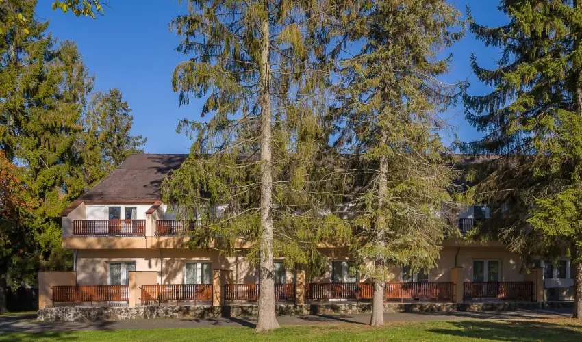 Lipicai Hotel Szilvásvárad - Karácsony