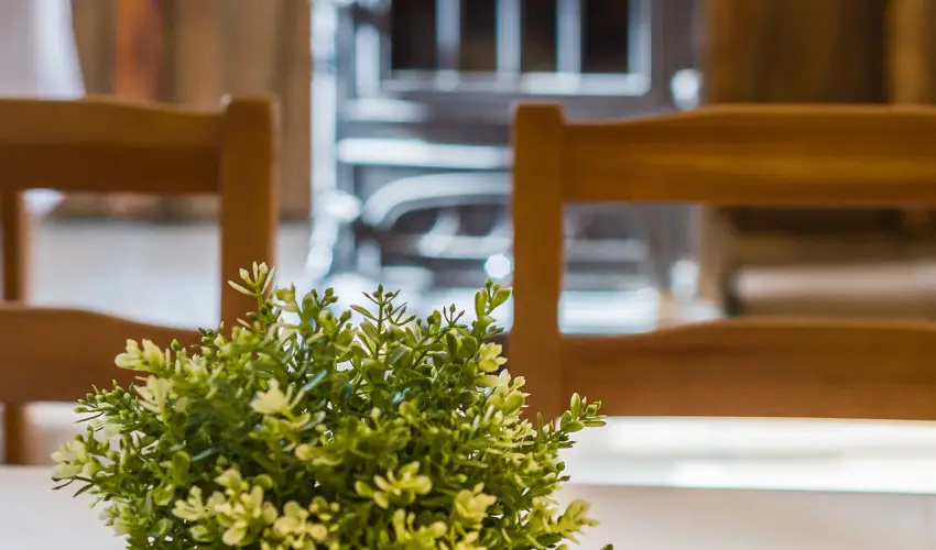 Lipicai Hotel Szilvásvárad - Karácsony