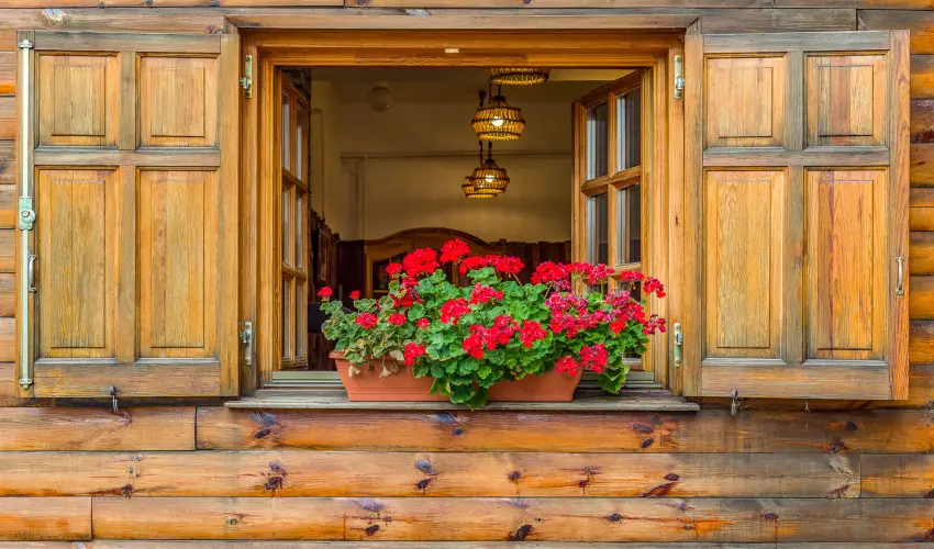 Lipicai Hotel Szilvásvárad - Karácsony