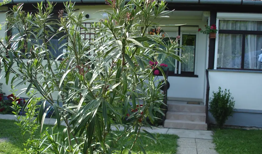 Liza Apartman Gyula - Karcsony (min. 2 j)