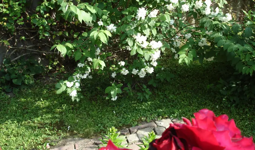 Liza Apartman Gyula - Karcsony (min. 2 j)