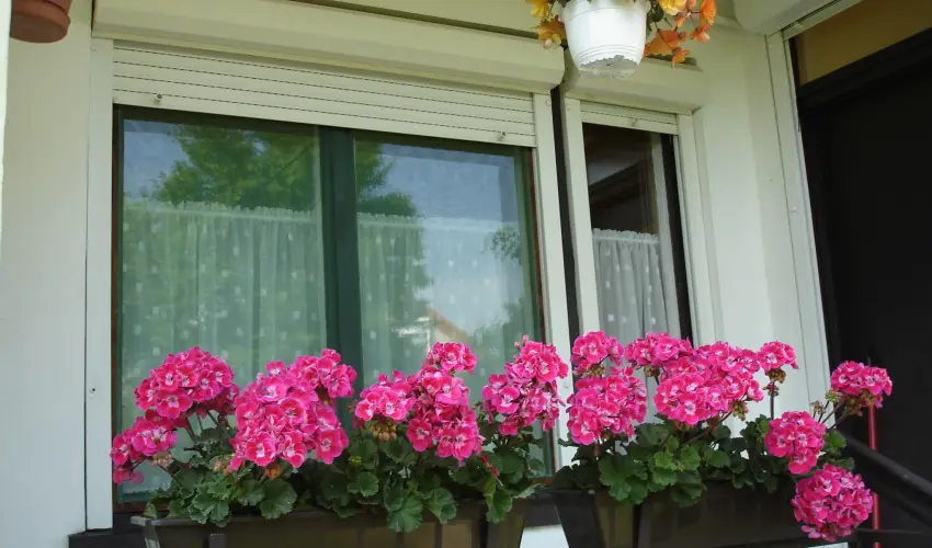 Liza Apartman Gyula - Karcsony (min. 2 j)