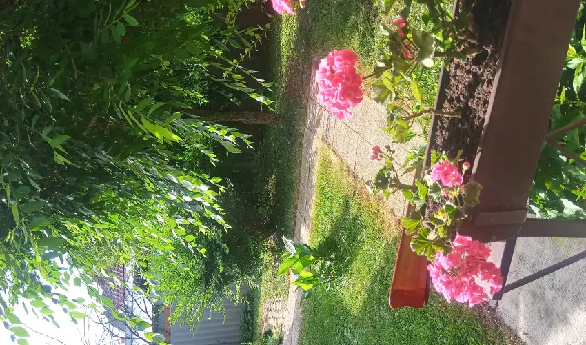 Liza Apartman Gyula - Karcsony (min. 2 j)