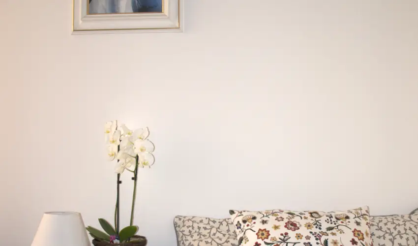 Malom-t Vendghz Tapolca - Karcsony (min. 2 j)