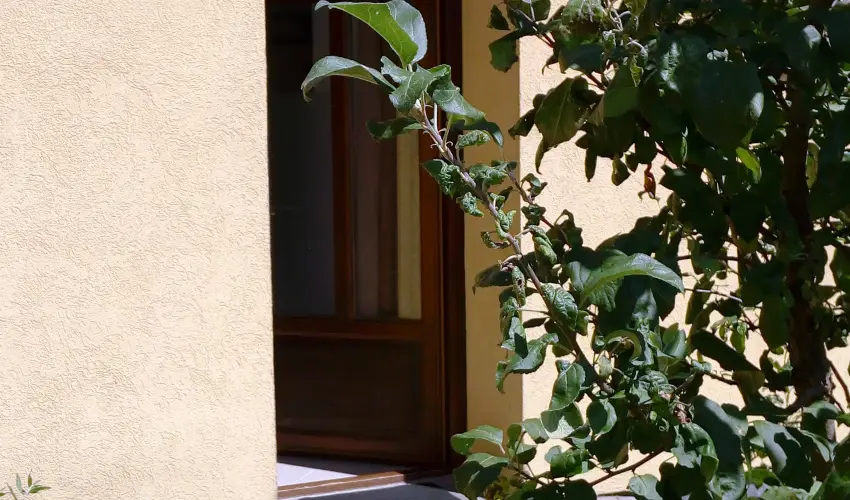 Malom-t Vendghz Tapolca - Karcsony (min. 2 j)