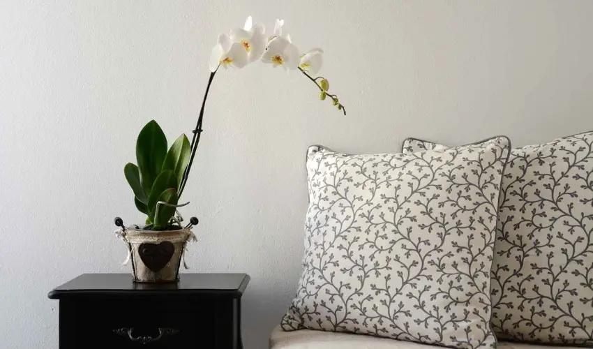 Malom-t Vendghz Tapolca - Karcsony (min. 2 j)