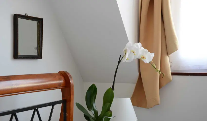 Malom-t Vendghz Tapolca - Karcsony (min. 2 j)