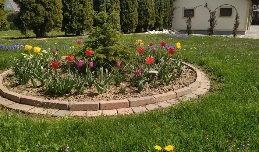 Mria Apartmanok Zalakaros - Karcsony (min. 3 j)