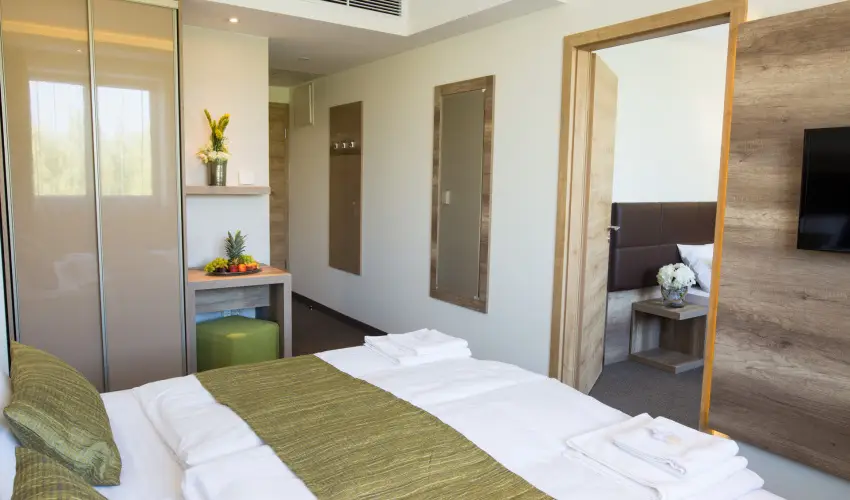 Ndas T Park Hotel Vasad - Karcsony