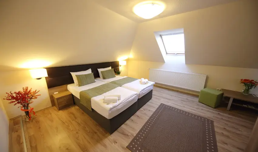 Ndas T Park Hotel Vasad - Karcsony