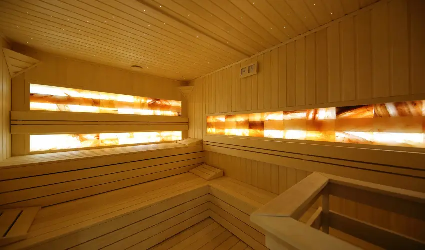 Ndas T Park Hotel Vasad - Karcsony