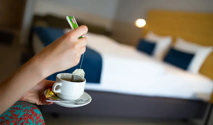 Ndas T Park Hotel Vasad - Karcsony