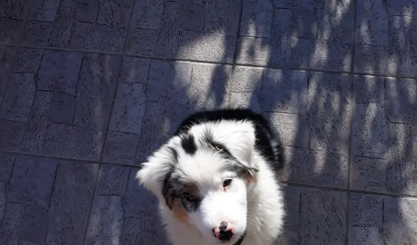 Napsugr Kenzy Lux Apartman Vendghzak Hajdszoboszl - Karcsony (min. 2 j)