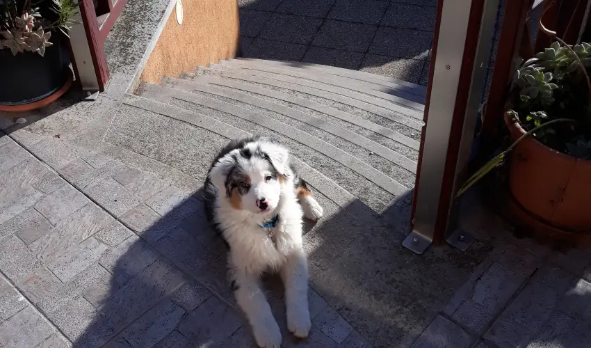 Napsugr Kenzy Lux Apartman Vendghzak Hajdszoboszl - Karcsony (min. 2 j)