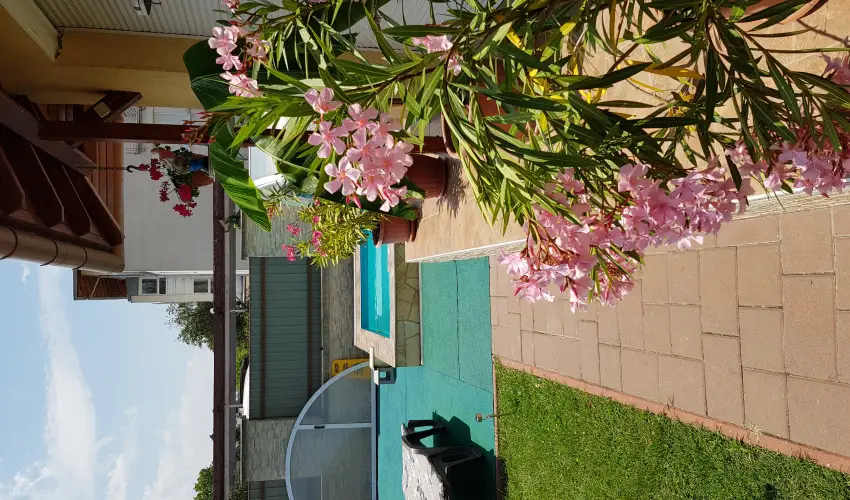 Napsug�r Resort Si�fok - Kar�csony (min. 2 �j)