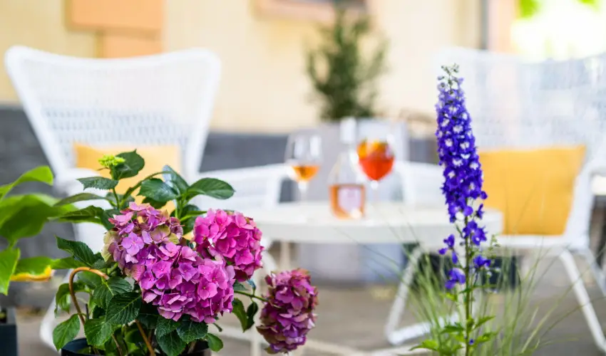 Neptun Badacsony Badacsony - Karcsony