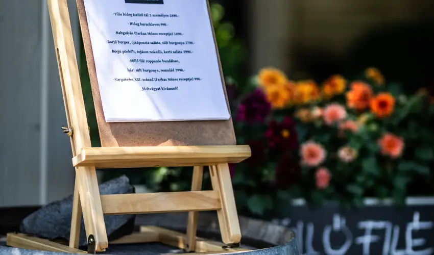 Neptun Badacsony Badacsony - Karcsony