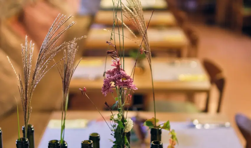 Neptun Badacsony Badacsony - Karcsony